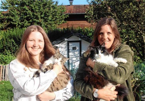 Tierliebe: Annette Hofmann (rechts) mit Tochter Isabella und den Katzen Stella (links) und Fiona, die vor vier Jahren als Katzenbabys nach dem Verkehrstod ihrer Katzenmutter mit der Flasche aufgezogen wurden und seitdem ein gutes Heim bei den Hofmanns haben. Foto Arno Zandl