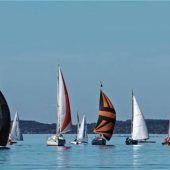 Sportwart gewinnt „Zwetschgendatschi-Regatta“