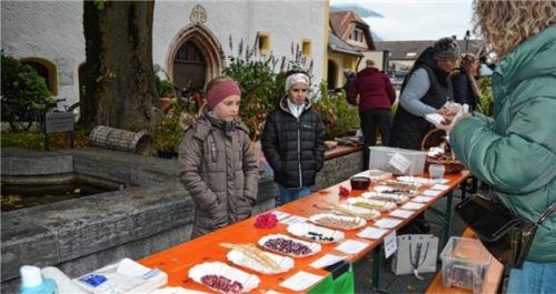 Unterschiedliche Bohnensorten bot die Kindergruppe des Gartenbauvereins an. Foto  Eder