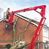 Bäume kontrollieren