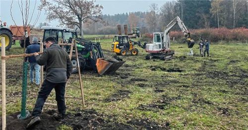 160 neue Obstbäume wurden in der Gemeinde Pfaffing gepflanzt.Foto re