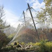 Vogelgrippe: So schützt sich Hellabrunn