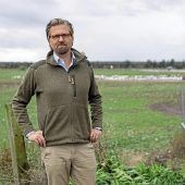 Kranke Kraniche stürzen auf Spargelhof