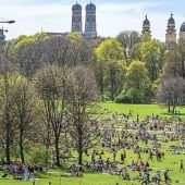 Der Kampf ums Kiffen