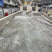 Hier liegt die Welle in der Wanne