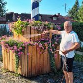 Herbstlaub statt Blütenpracht