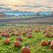 Herbst zeigt sich von seiner farbenfrohen Seite