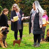 Rassehunde-Ausstellung für Leonberger