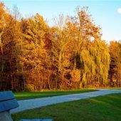 Selbst der Mond freut sich über den goldenen Herbst