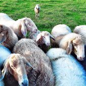 Suche nach Wegen, die tragen und nicht ausgrenzen