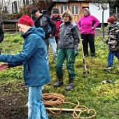 Streuobstwiese am Pfarranger neu gepflanzt