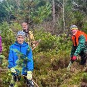 Moor-Entbuschung für den Umweltschutz