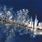 Der Winter aus der Nähe