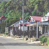 Welcome to the jungle!