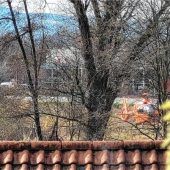 Hubschrauber-Einsatz und „wahnsinniges“ Glück an der BayWa-Wiese