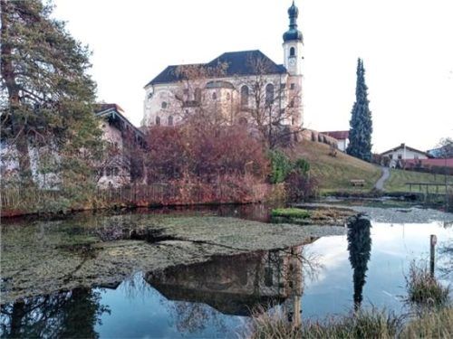 Bewuchs an der Wasseroberfläche: der Dorfweiher in Breitbrunn. Foto wastl