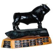 Kastenauer Stier feiert 40. Jubiläum