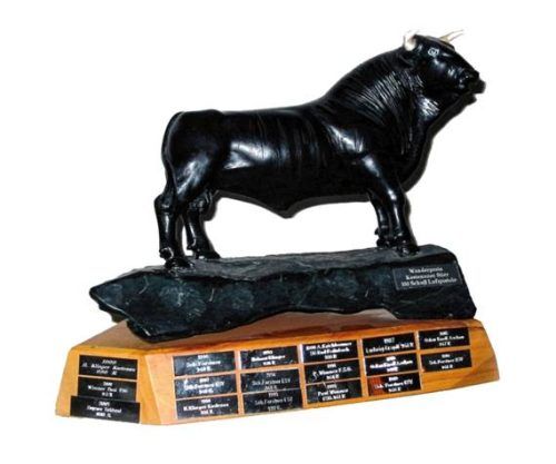 Das Objekt der Begierde: der Kastenauer Stier.Foto Schnitzer