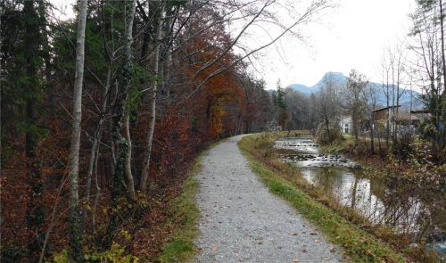 Der Auerbach soll so umgebaut werden, dass er bei Starkniederschlägen in den Auwald im Süden (im Bild links) ausufern kann und so die Siedlung auf der Nordseite geschützt wird.Foto Schubert