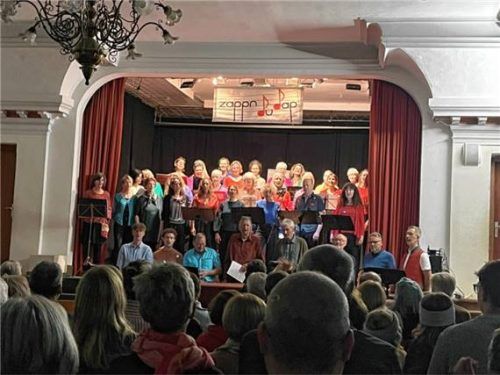 Der Chor Zappndudap im Theatersaal des Englischen Instituts. Foto RE