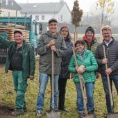 Gemeinde pflanzt Baumreihe