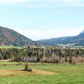 Wiedervernässung der Filzen geplant