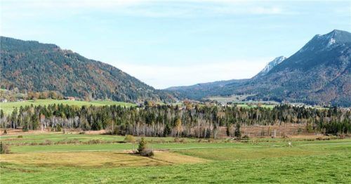 Der mittlere Teil der Inzeller Filzen soll renaturiert werden. Einige Bäume müssen dafür weichen. Die Arbeiten laufen bis Februar. Foto Wegscheider