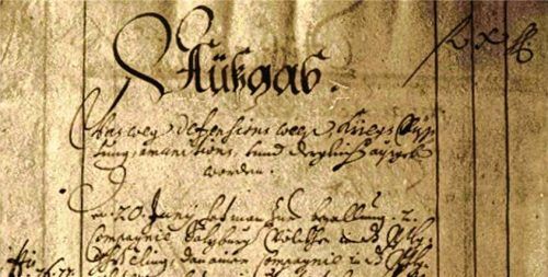 Die Kammerrechnung von 1705 weist durch ihren Untertitel „der Kayserl(ichen) Statt Wasserburg“ auf die Besetzung durch die österreichische Armee hin und enthält unter anderem „was wegen defensions wegen, Kriegs Rüstung, amunitions, und dergleichen ausgeben worden“. Foto Steffan