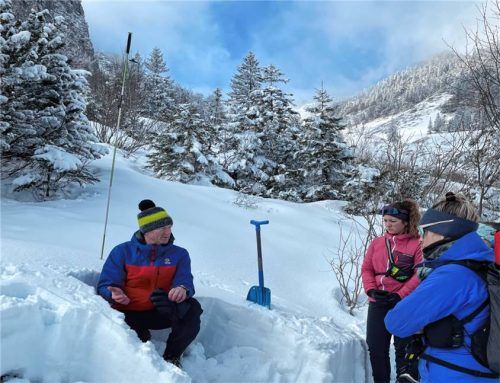 Die Teilnehmer eines Lawinenkurses beurteilen die Schneedecke anhand eines Schneeprofils. Foto Bergwacht Schleching