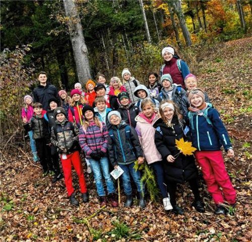 Die Waldforscher der Grundschule Aschau haben viel Wissenswertes über den Wald und seine Bewohner erfahren.
