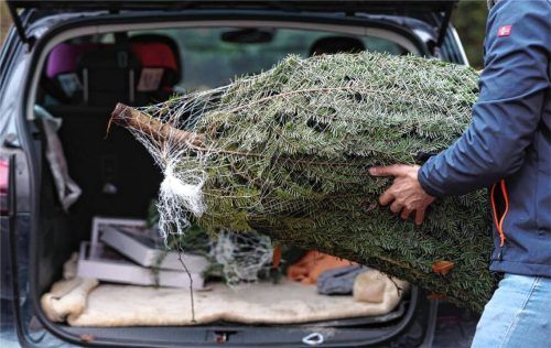 Dieser Verbraucher hat den passenden Christbaum fürs Weihnachtsfest schon gefunden. Foto IMAGO/snowfieldphotography