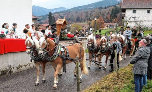 Dieses „Haflinger“-Sechsergespann durfte heuer die Feilnbacher Miederdirndln ziehen. Fotos Peter Strim