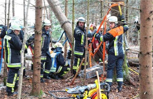 Ein Einsatz, der den Rettungskräften viel abverlangte: 2023 musste ein Mann befreit werden, dessen Fuß beim Baumfällen eingeklemmt wurde. Der Baum verfing sich zudem in einem anderen Baum und konnte jederzeit fallen. Foto FIB