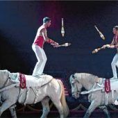 Der 2. Rosenheimer Weihnachtszirkus