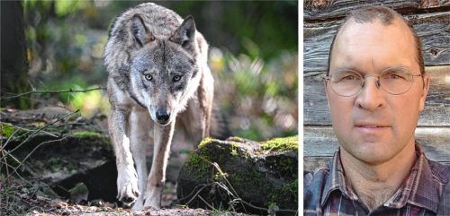Eine Kulturlandschaft, gefährdet durch den Wolf? Der Schweizer Biologe Marcel Züger hat dazu eine klare Meinung. Fotos dpa/re