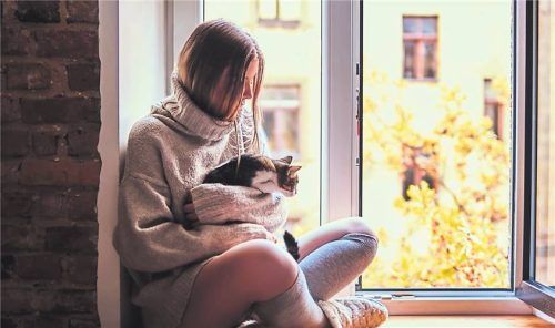 Fenster sind ein Zugang zur Welt – der allerdings effektiv reguliert gehört. Foto Smarterpix/fxquadro