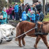 <p>Großen Applaus gab es auch für die „Kleinen“: Das Ponygespann durfte auch heuer nicht fehlen.</p>