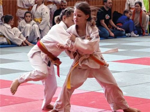 Hart umkämpft waren die Medaillen des 16. Ostermünchner Nachwuchs-Judo-Turniers.Foto Werner Stache