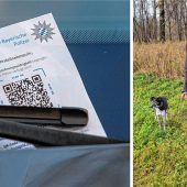 Hundehalter wehrt sich gegen Strafzettel