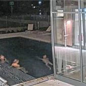 Nächtlicher Badepark-Besuch in Inzell hat teure Folgen