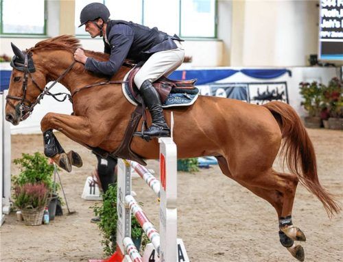 Klasse-S*-Sieger Mikka Roth, hier mit Ferrero du Rouet, war in mehreren Prüfungen auf vorderen Rängen zu finden.Foto Hans Weitz