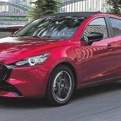 Fast makellos, der Kleine