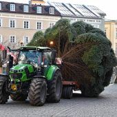 Christbaum heuer eine „richtige Granate“
