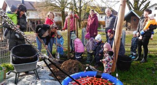 Mitglieder des Gartenbauvereins mit Baumwart Hans Bernauer (im roten Pullover), Teile des Kindergartenteams sowie einige Kinder pflanzen die Linde im Kindergartengelände. Foto  Gillitz