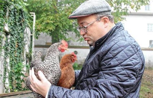 Mühldorfs Stadtpfarrer und Dekan Klaus Vogl besucht seine zehn Hühner täglich im Pfarrgarten.