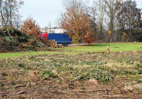 Neben dem Parkplatz vom Holzwerk Obermeier wurde eine Fläche gerodet, um einen neuen Holzlagerplatz anzulegen.

Foto sutherland