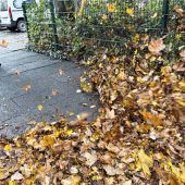 Gegen den lästigen Sound des Herbstes