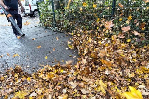 Nützlich oder nervig? Laubbläser sind umstritten. (Symbolbild) Foto IMAGO/Jan Huebner