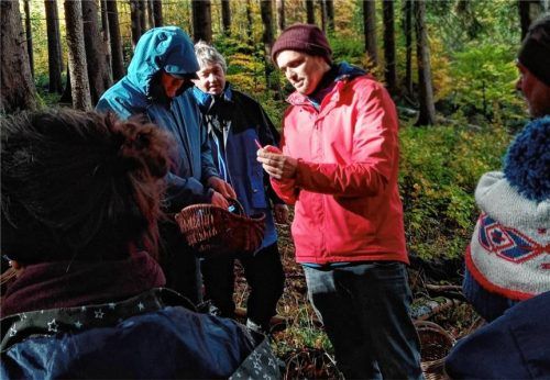 Referent Stefan Schnabel in seinem Element beim Erklären der Pilze.Foto re