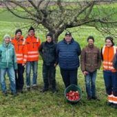 Obstbäume fachgerecht geschnitten